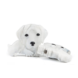 Лабрадор мини мрамор