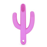 Кактус с щеточкой Пинк