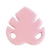 Монстера мини Candy pink