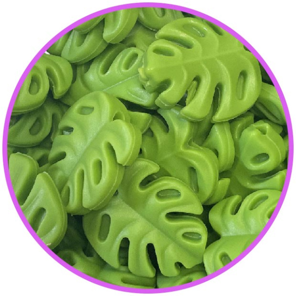 Монстера мини 2 Зеленый